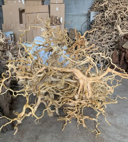 Manufacturer driftwood creating a fascinating aquarium