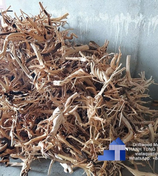 High quality Driftwood raw material, wholesale market