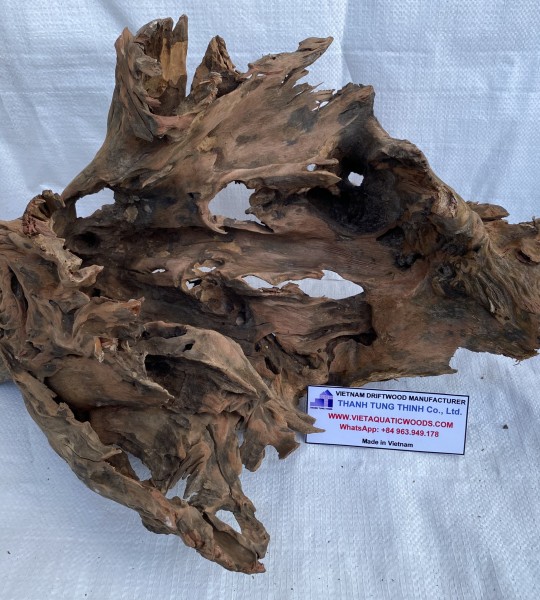 Natural Dono driftwood possesses unique shapes that can distinguish your aquarium from others.