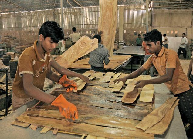 Manufacturing-wood-products-company (3)