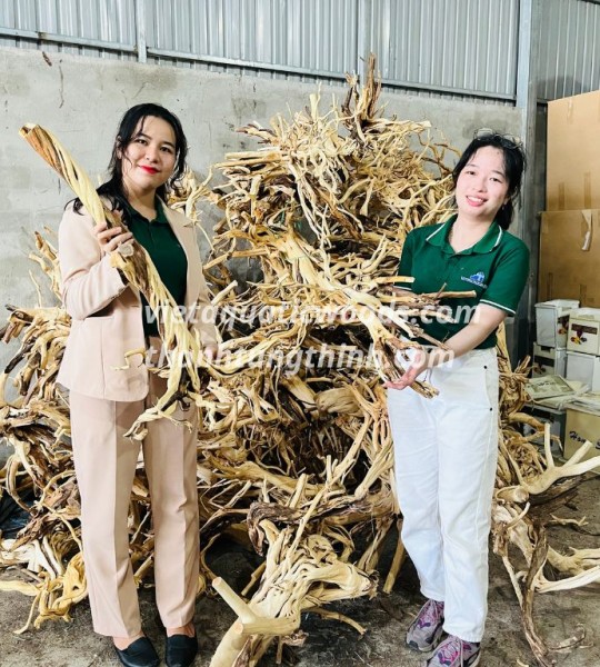 The packaging process of a Driftwood Bonsai Supplier in Vietnam