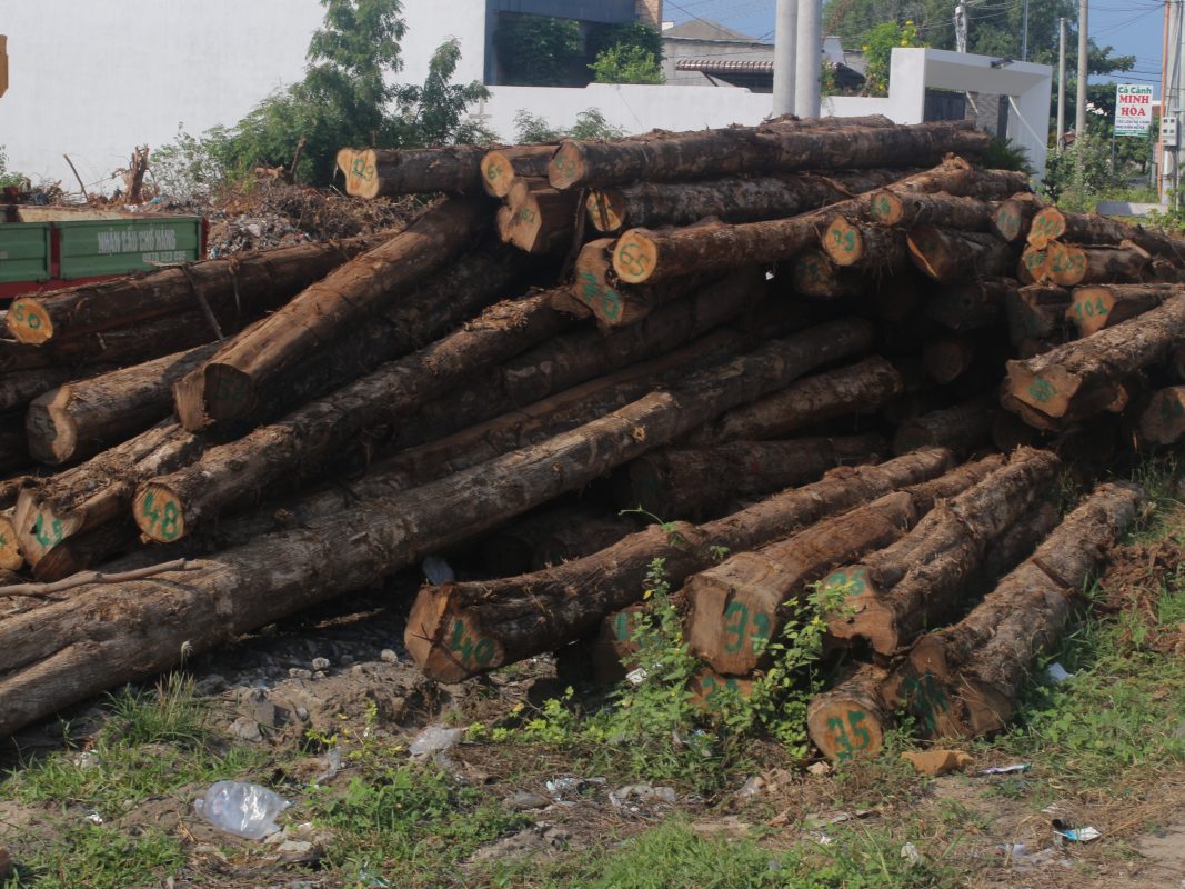 wood source3