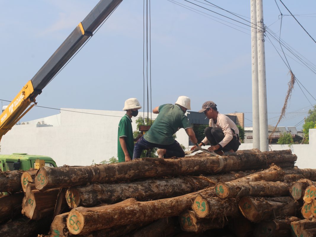 wood source4
