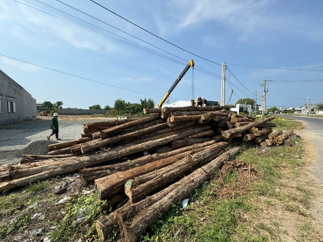 Workers operating at Thanh Tung Thinh factory 39