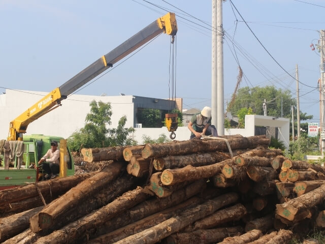 Workers operating at Thanh Tung Thinh factory 41