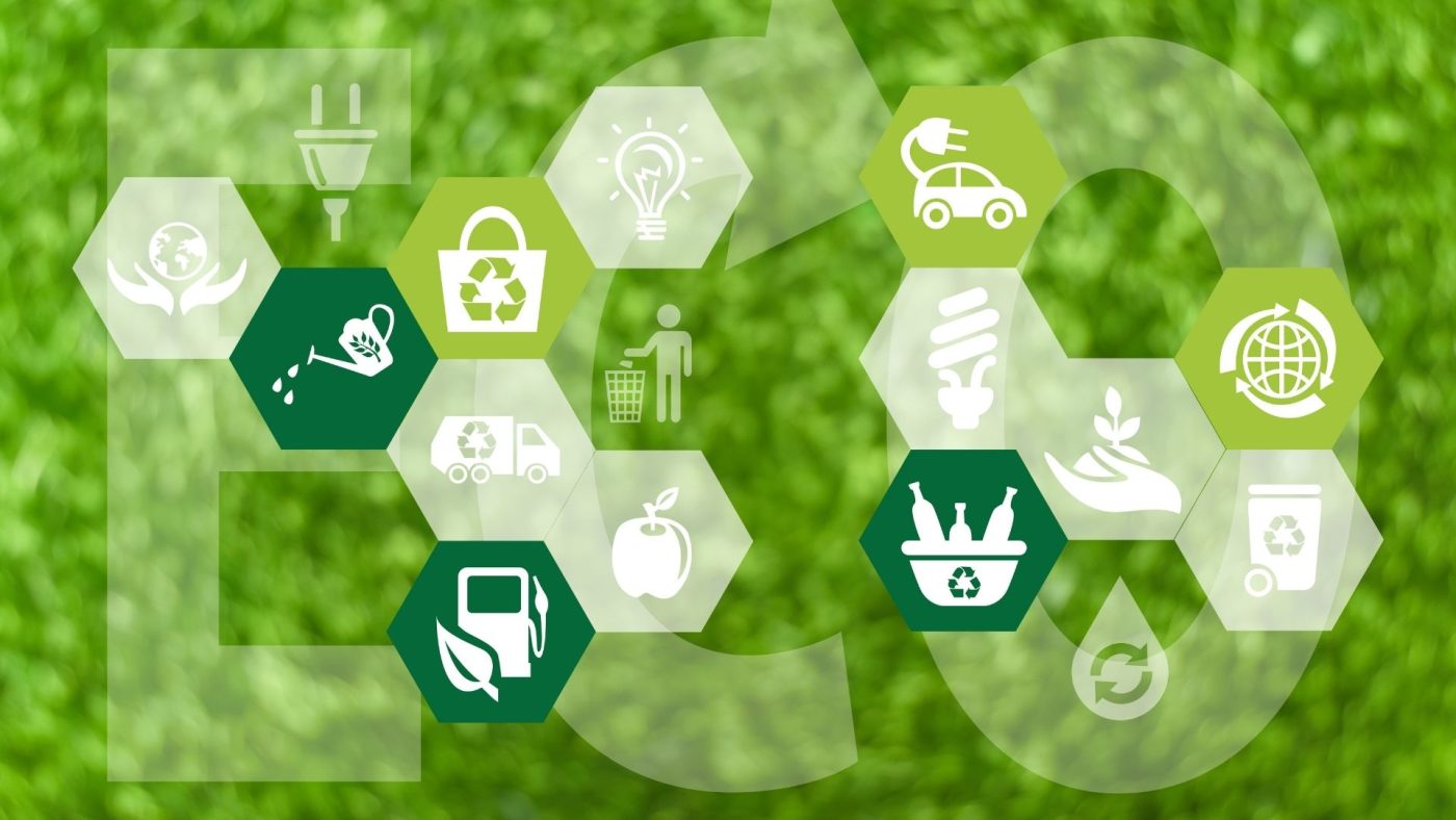 Sustainable wood materials
