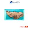 Driftwood and Resin Serving Tray Thanh Tung Thinh