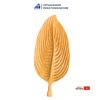Long Leaf-Shaped Wooden Tray