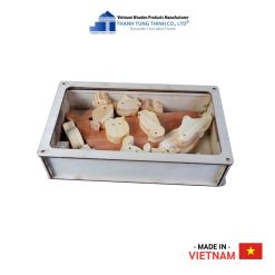 Montessori Wooden Toy Set Balancing Sea Creatures Thanh Tung Thinh | 03