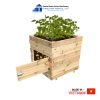 Wooden Planter Box for Potatoes Thanh Tung Thinh