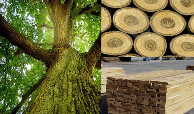 Vietnamese Wood Manufacturing Companies
