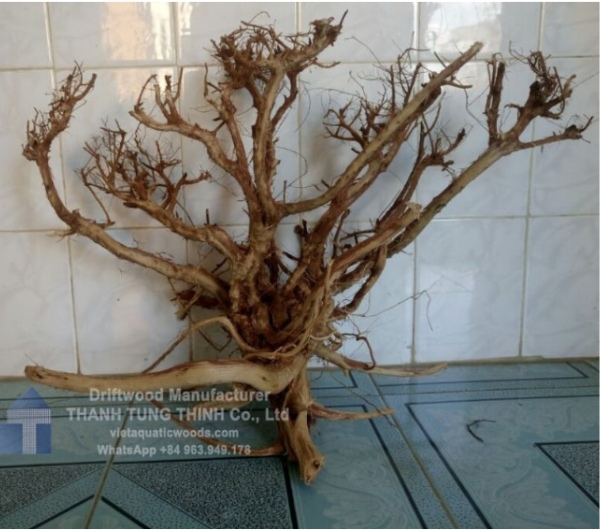 Satung Woods