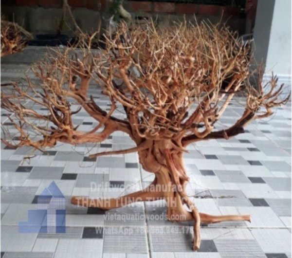 Satung Woods