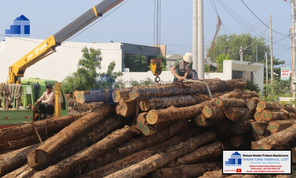 A pile of raw logs ready to be crafted into various patterns for wooden jewelry boxes
