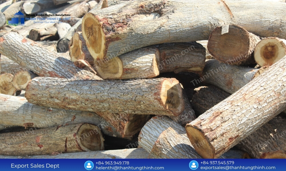 Raw premium hardwood logs selected to create the best wooden jewelry boxes